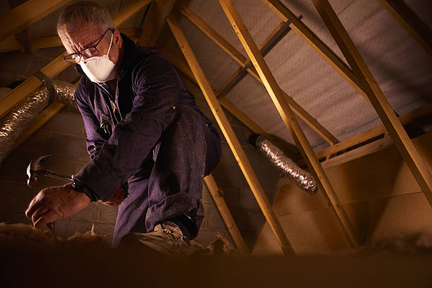 Best DIY Insulation Kits and Guidance in Jordan, NY